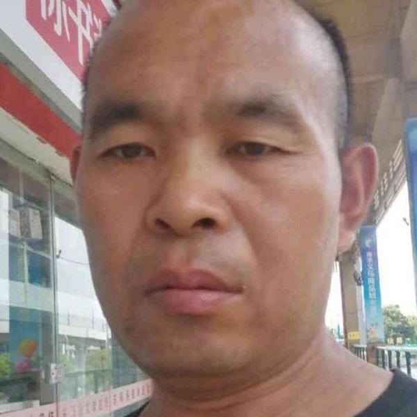 欣喜等待树叶的照片