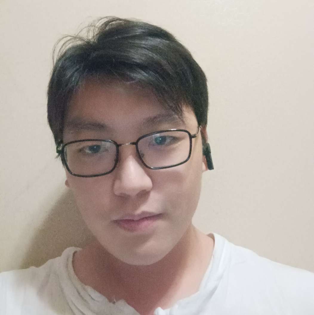 叙利亚军队长的照片