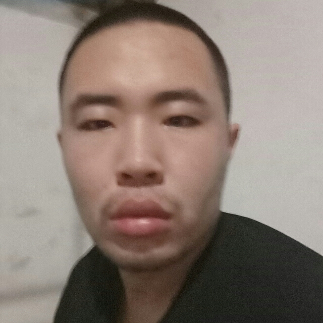 百合生动的照片