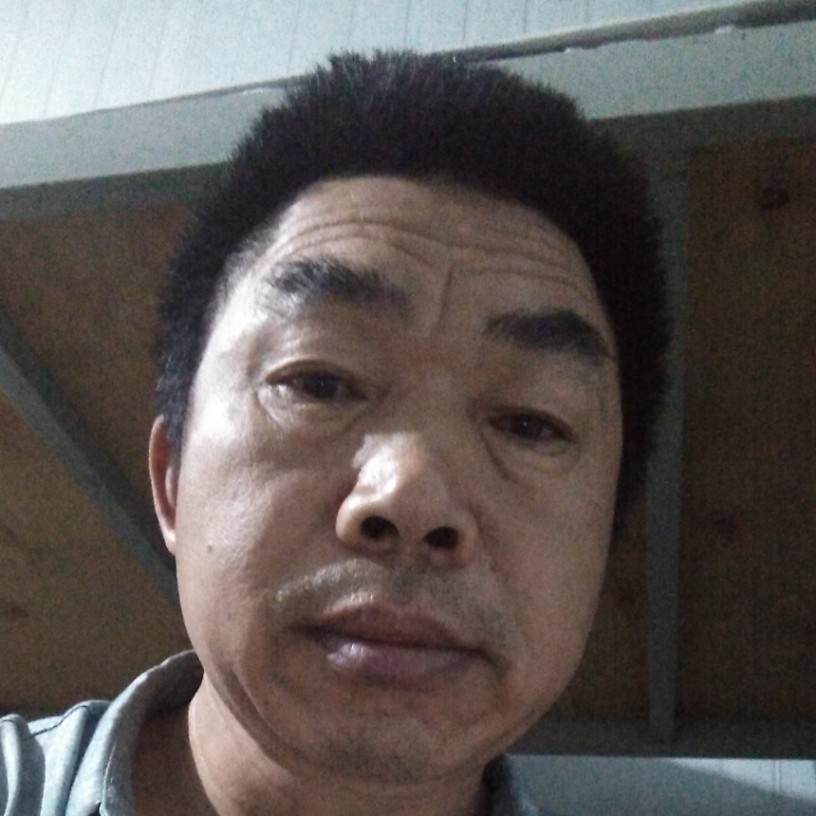 惊鸿那兴奋的照片