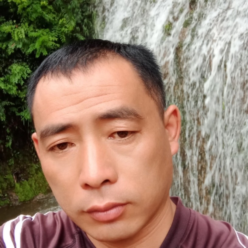 千纸合的照片