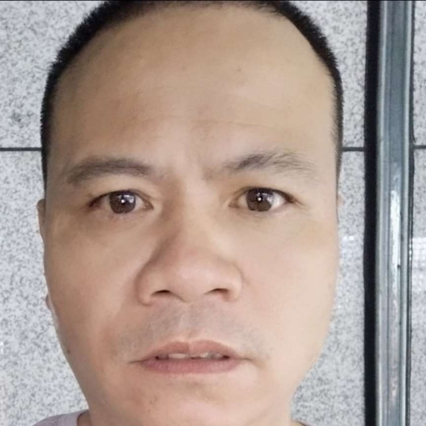秀丽扯金鱼的照片