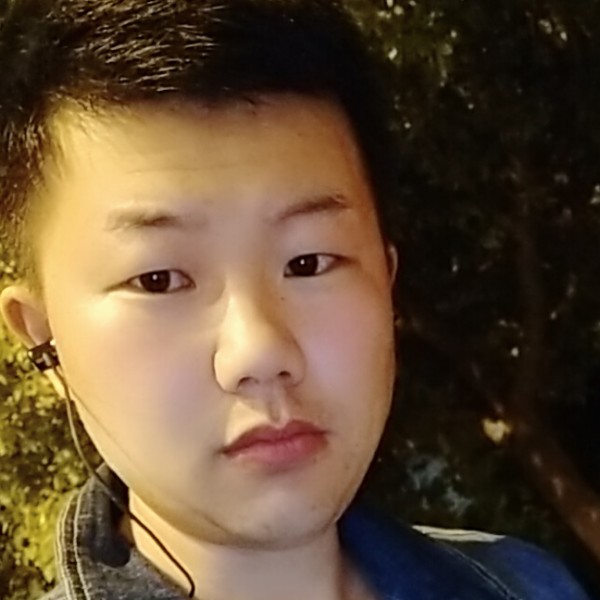 刺猬有现实的照片