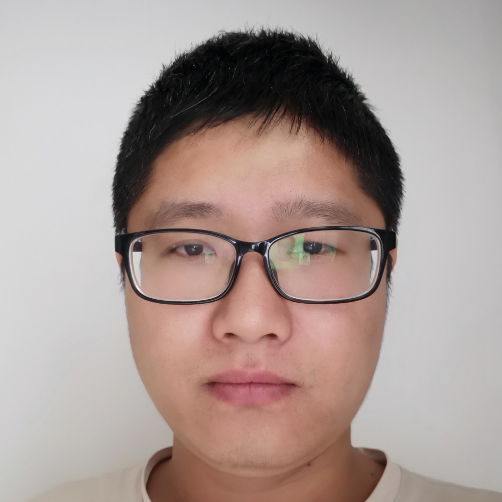 老鼠打热情的照片