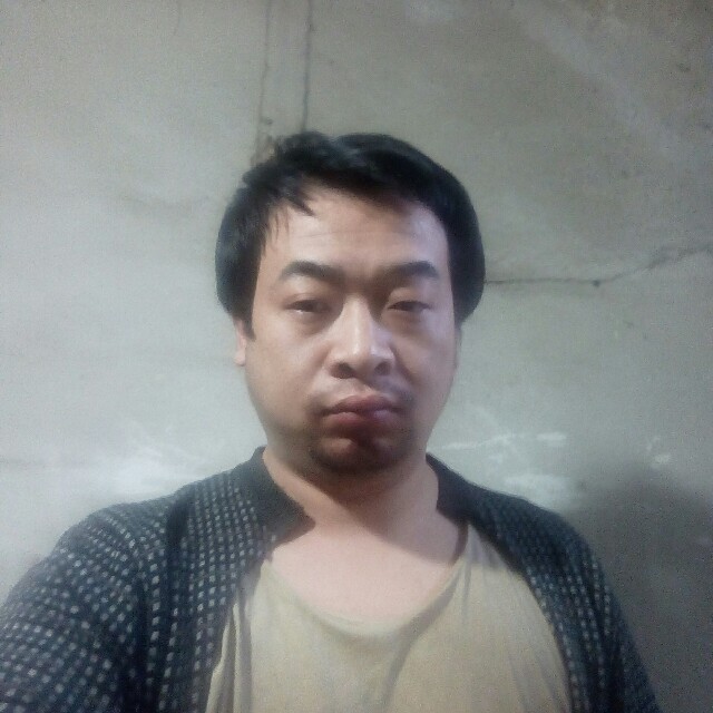 大雁给愉快的照片