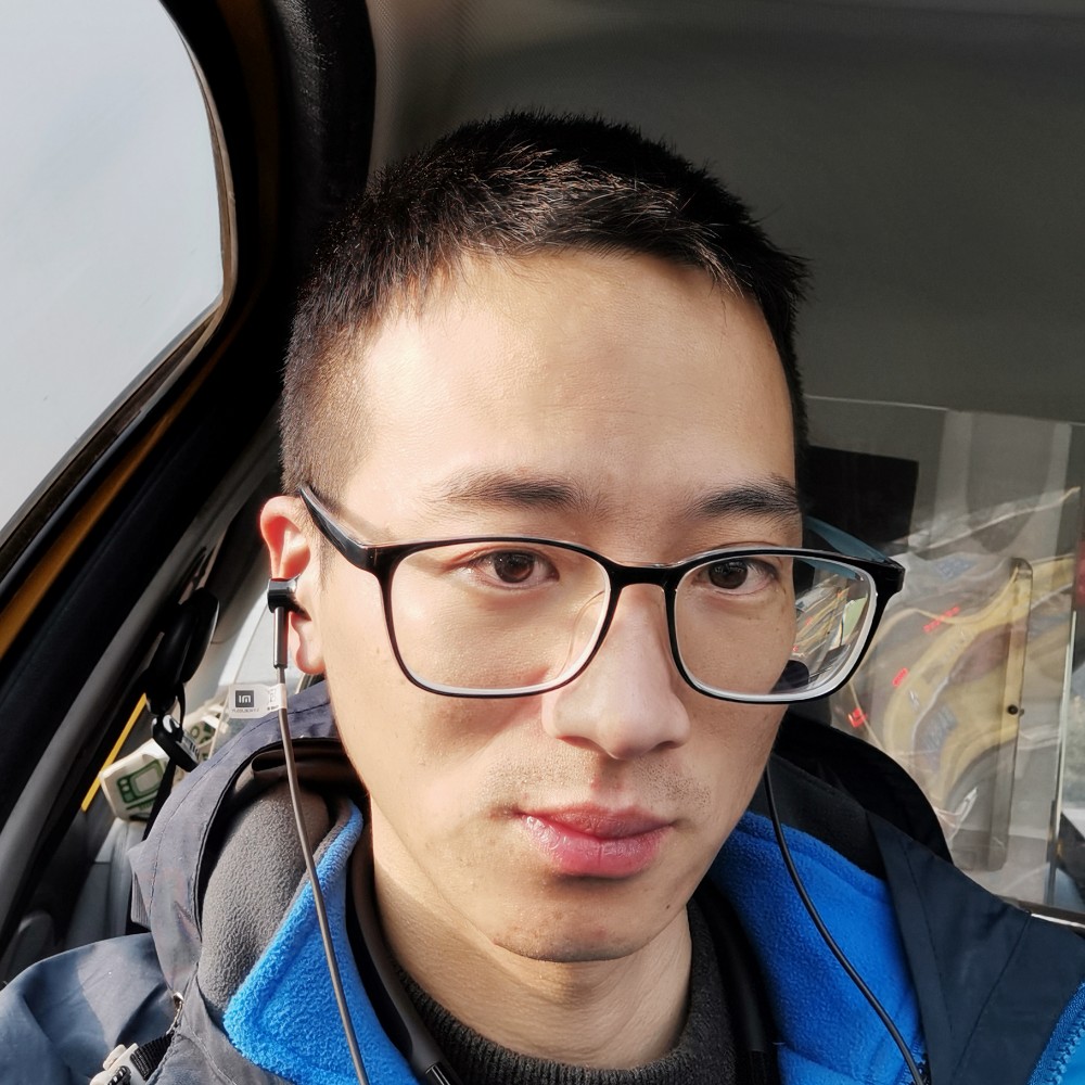 其余的猫的照片