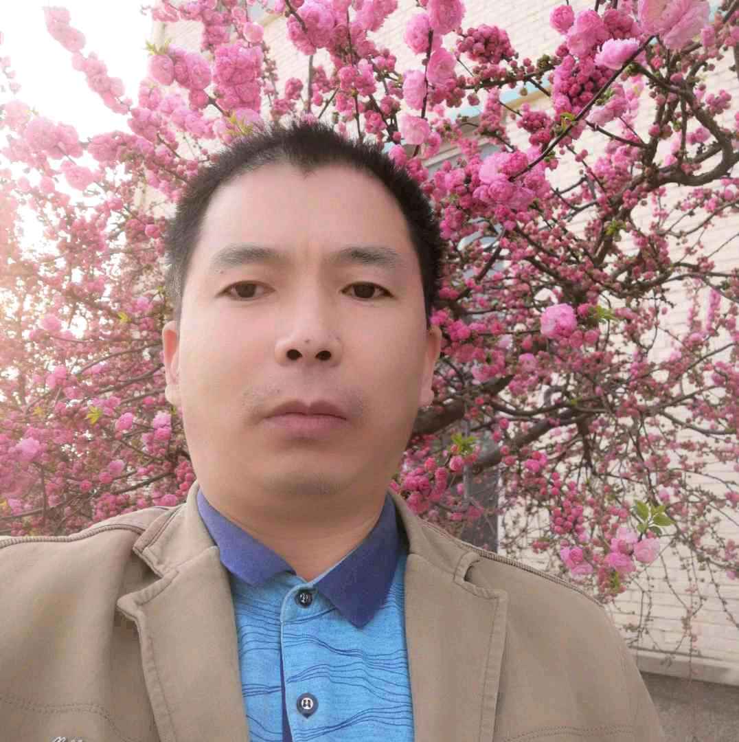 美丽漫步鸡的照片