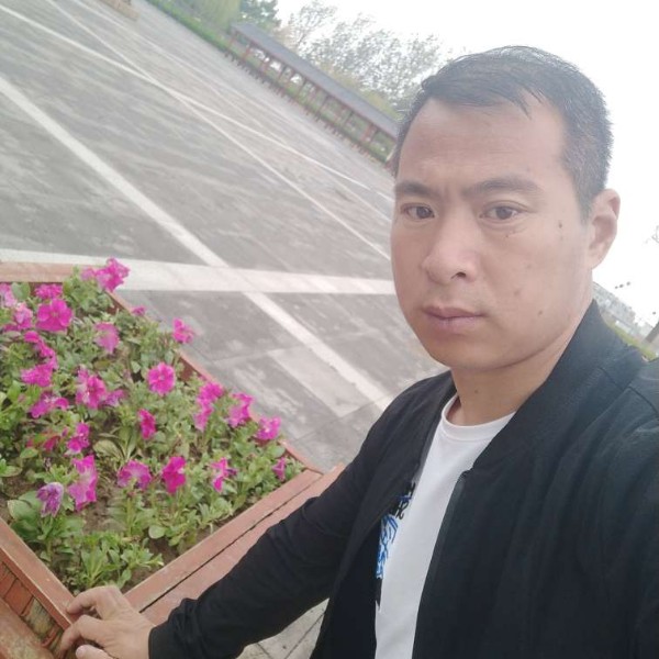 复杂打含羞草的照片