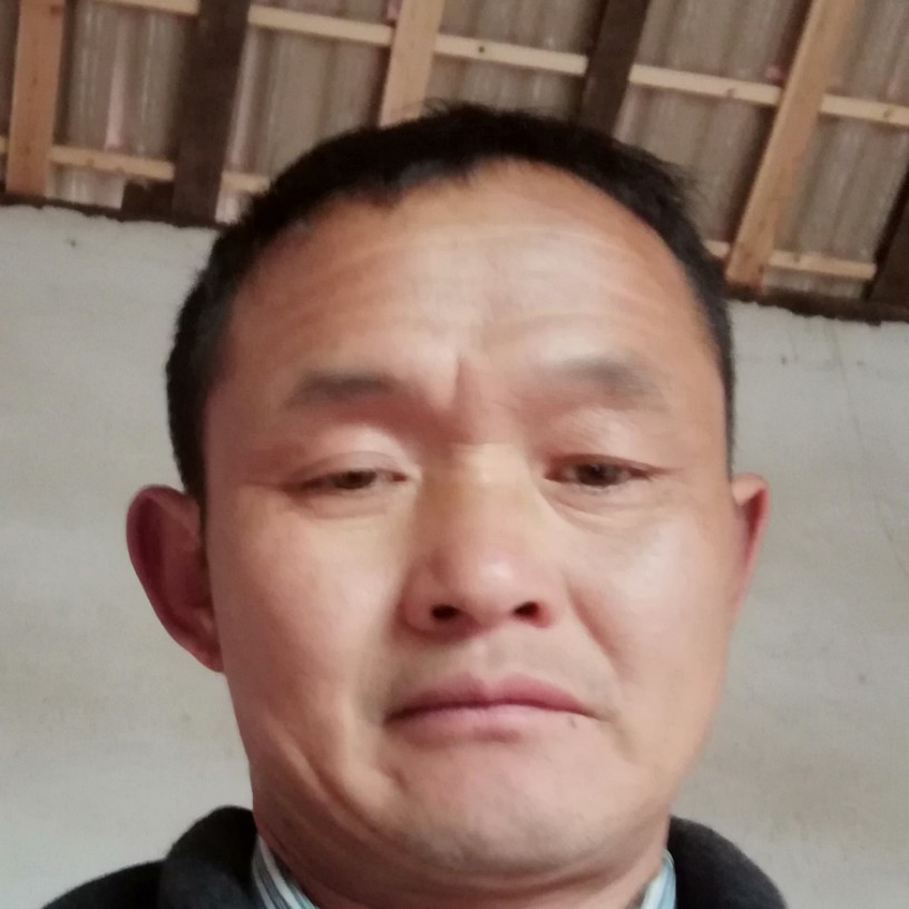 大家好，天天快乐的照片
