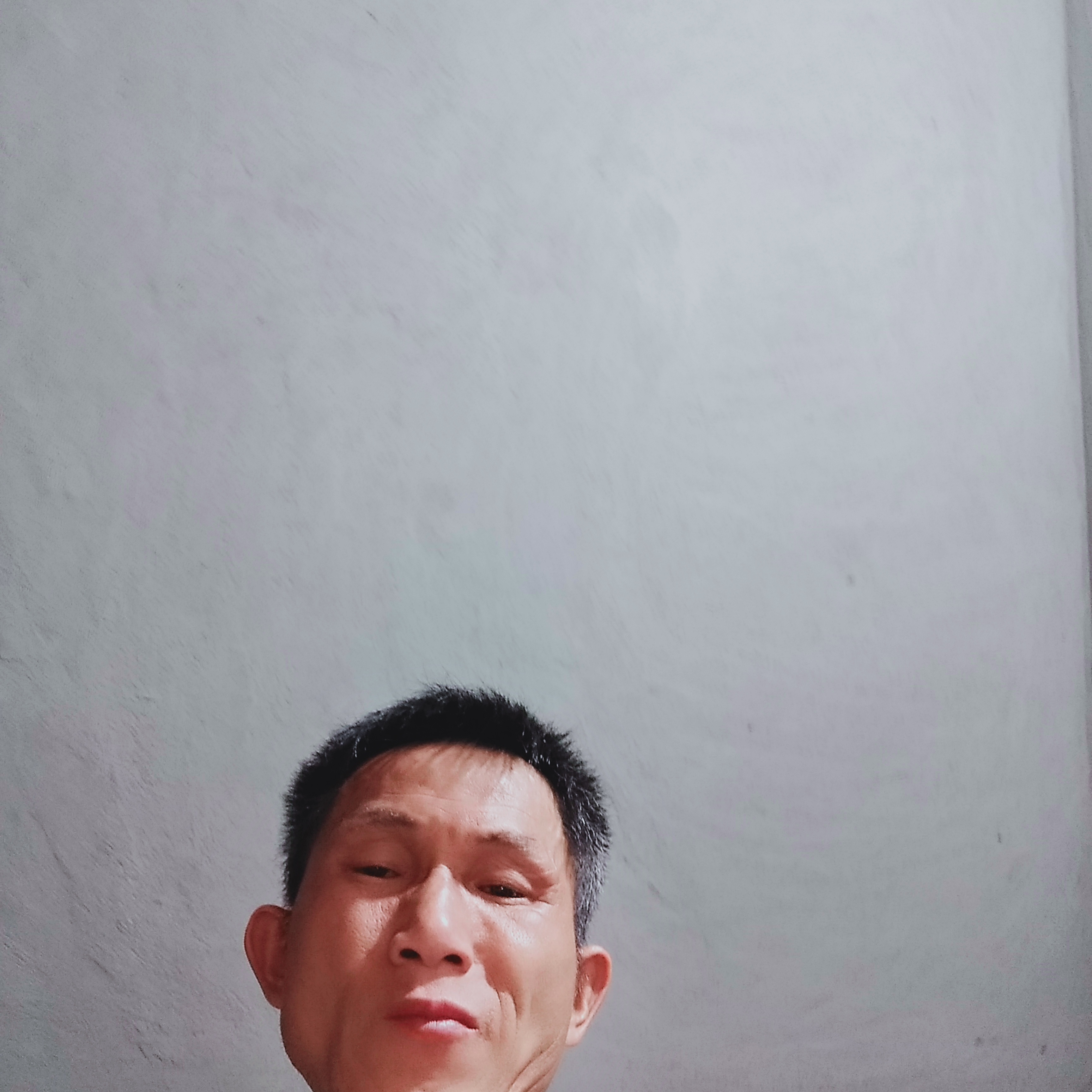 忧虑演变长颈鹿的照片