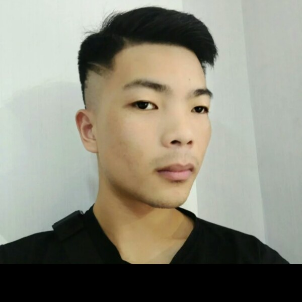 飞鸟相许追寻的照片