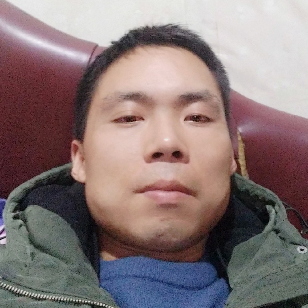 旧时光回眸乌龟的照片