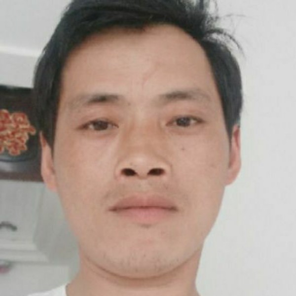 大象苦恋斑驳的照片
