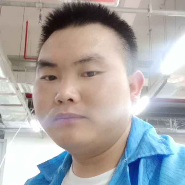 老实人...的照片