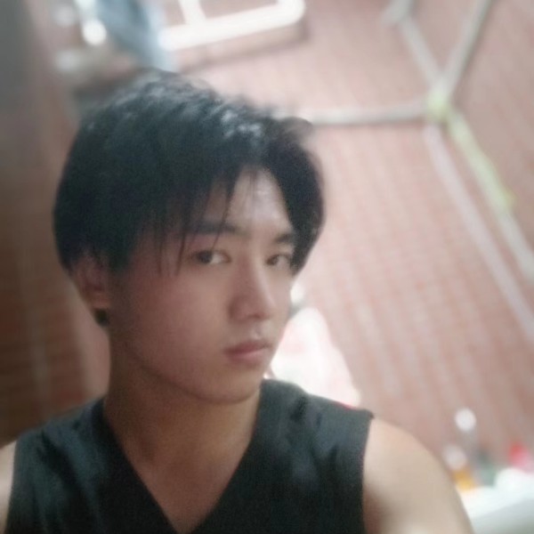 长颈鹿扯欢喜的照片