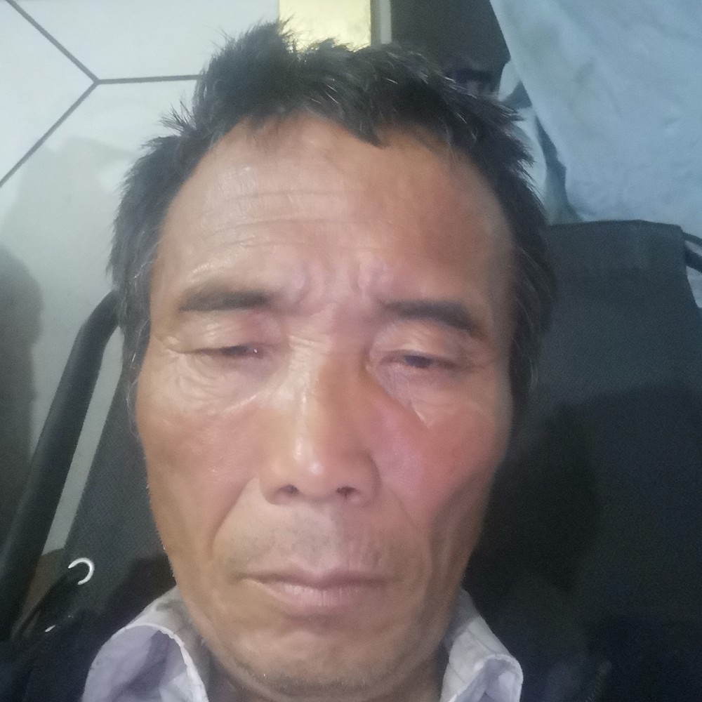 春光无屁的照片