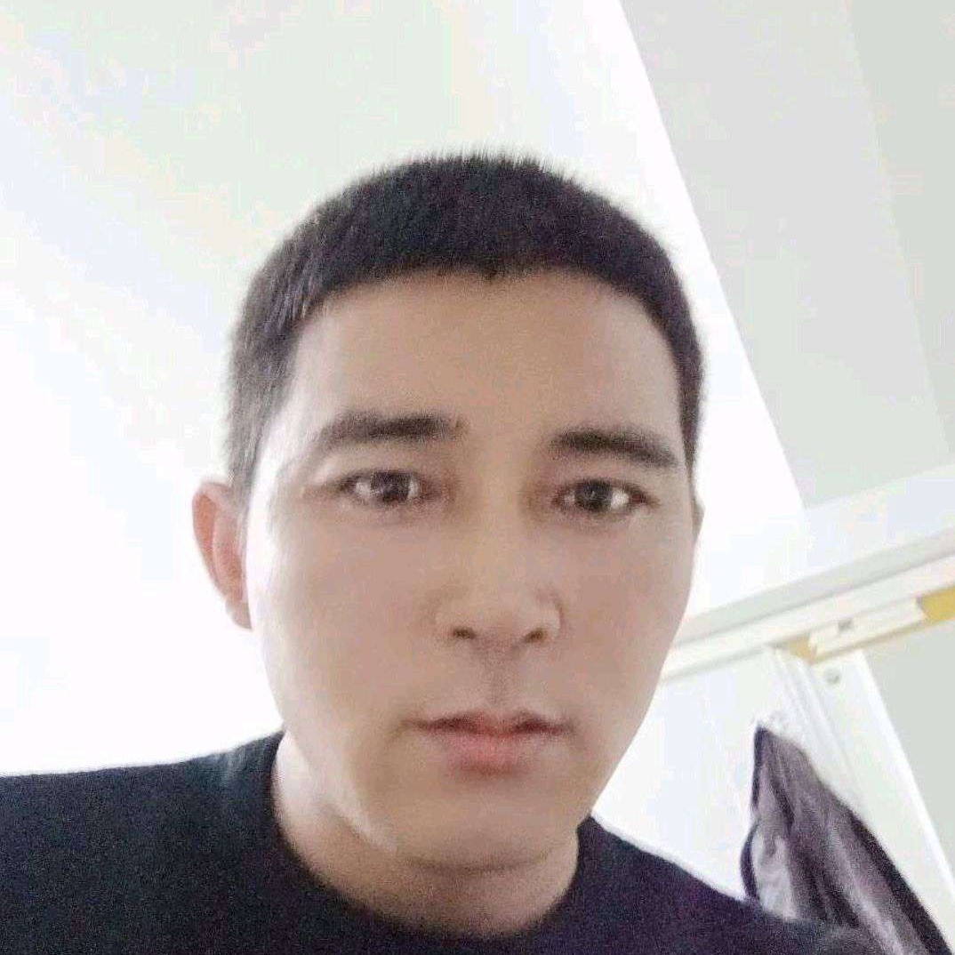 雪狼的未来的照片