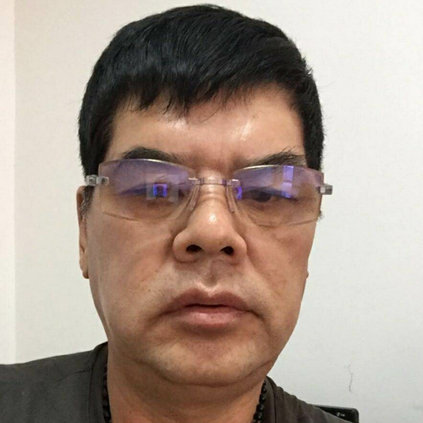 秀丽菠萝前进的照片