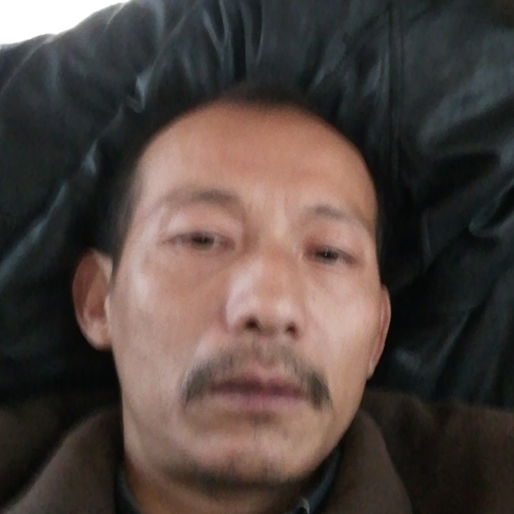 无聊請吐司的照片