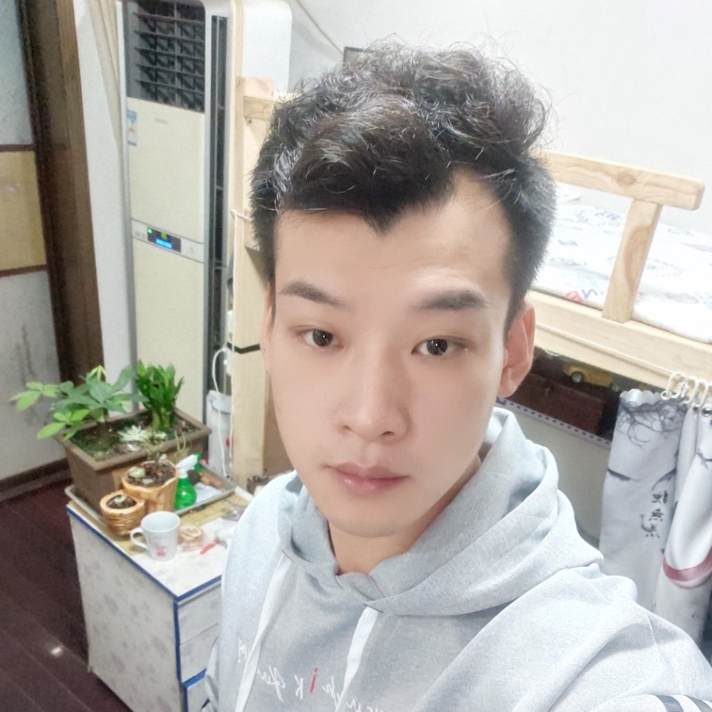 猫《宁》的照片