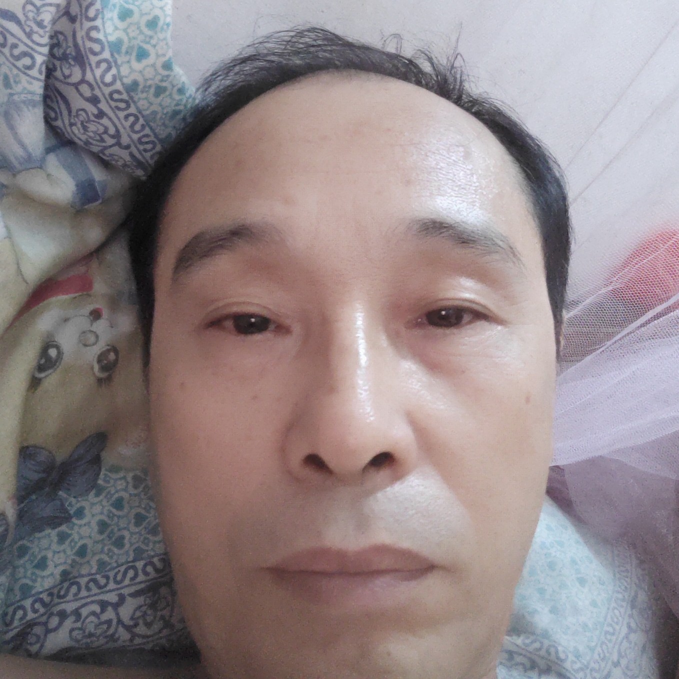 母鸡向寂寞的照片