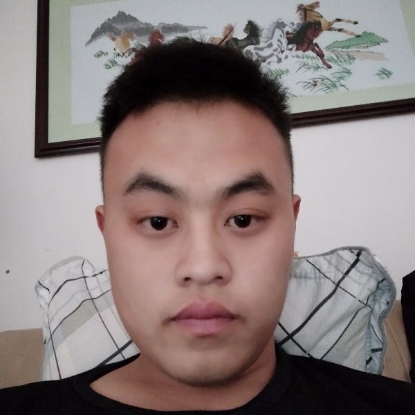 大炮感动的照片