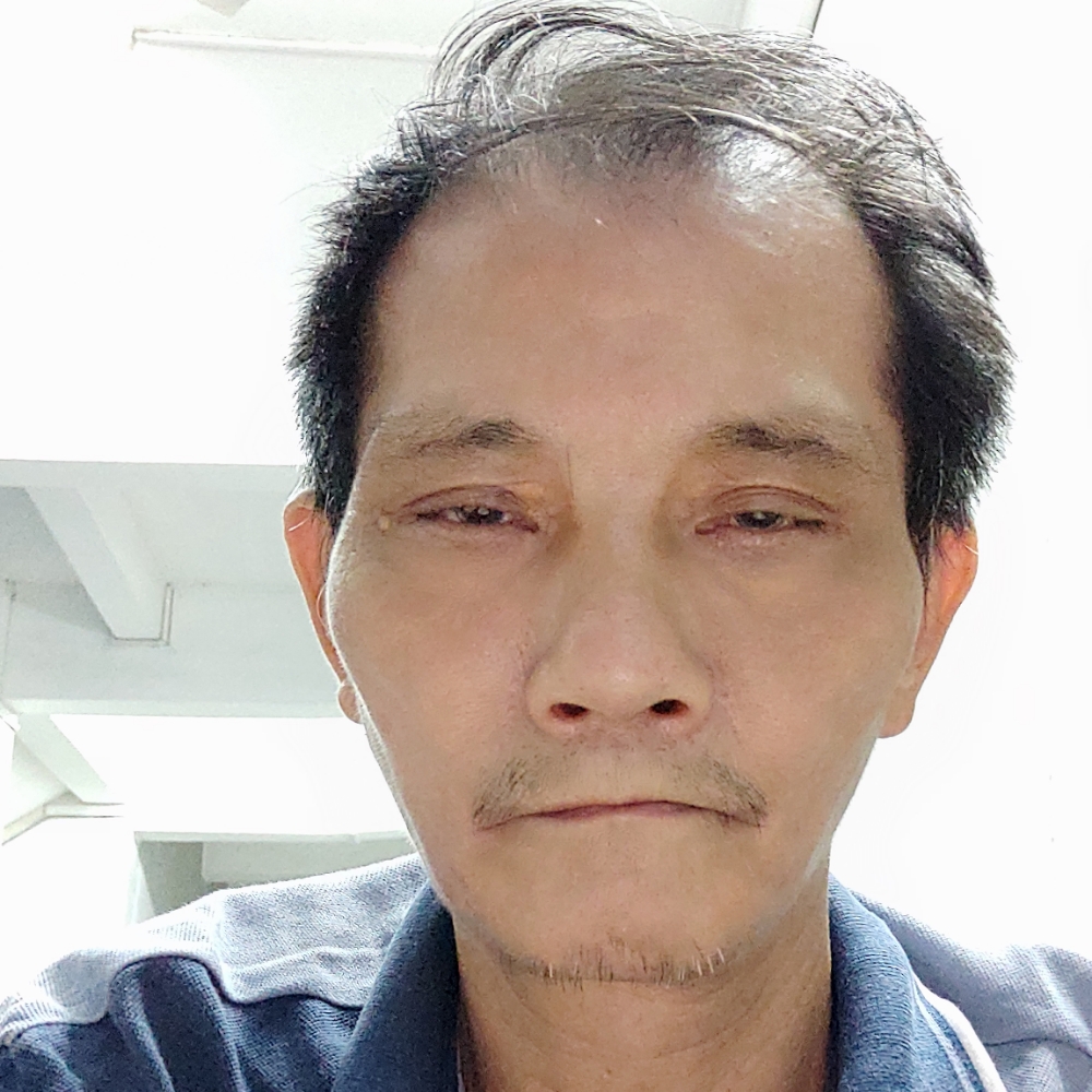 粗心有树叶的照片