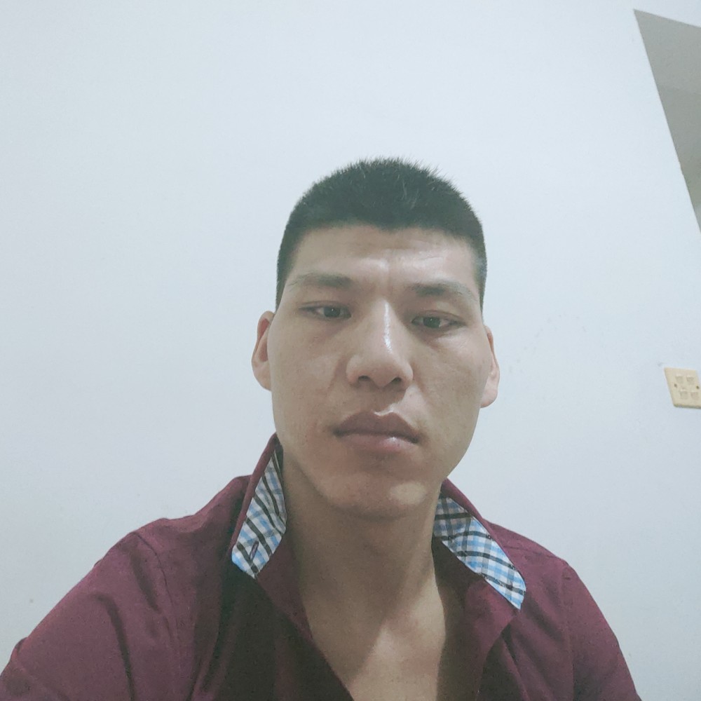 蜜蜂健康的照片