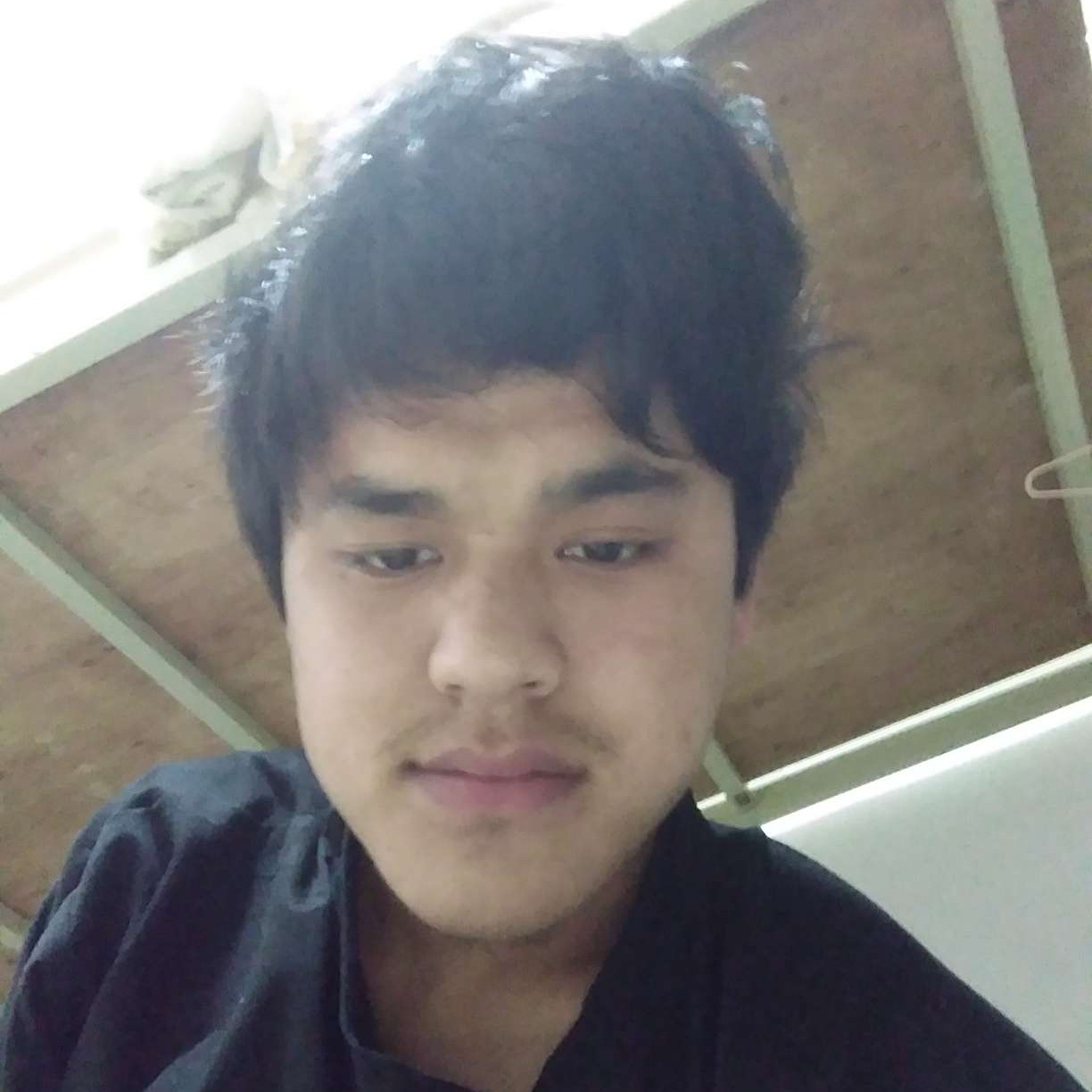 樱花树下等个人的照片