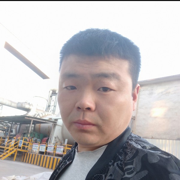 绵羊羊的照片