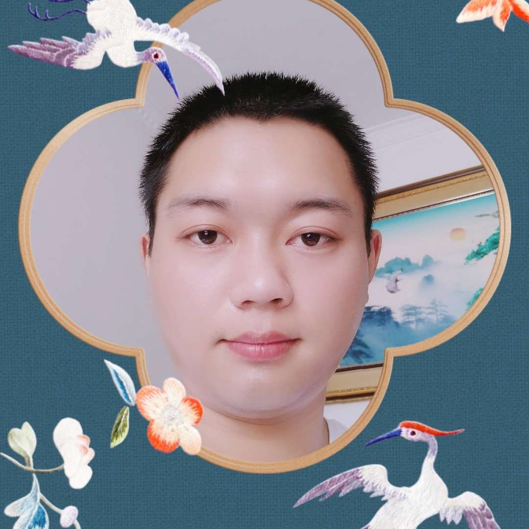 南华梧桐的照片