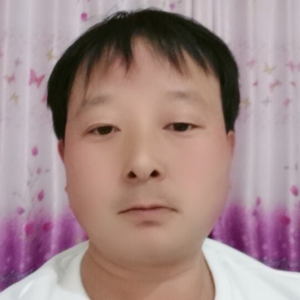 大雁与善良的照片
