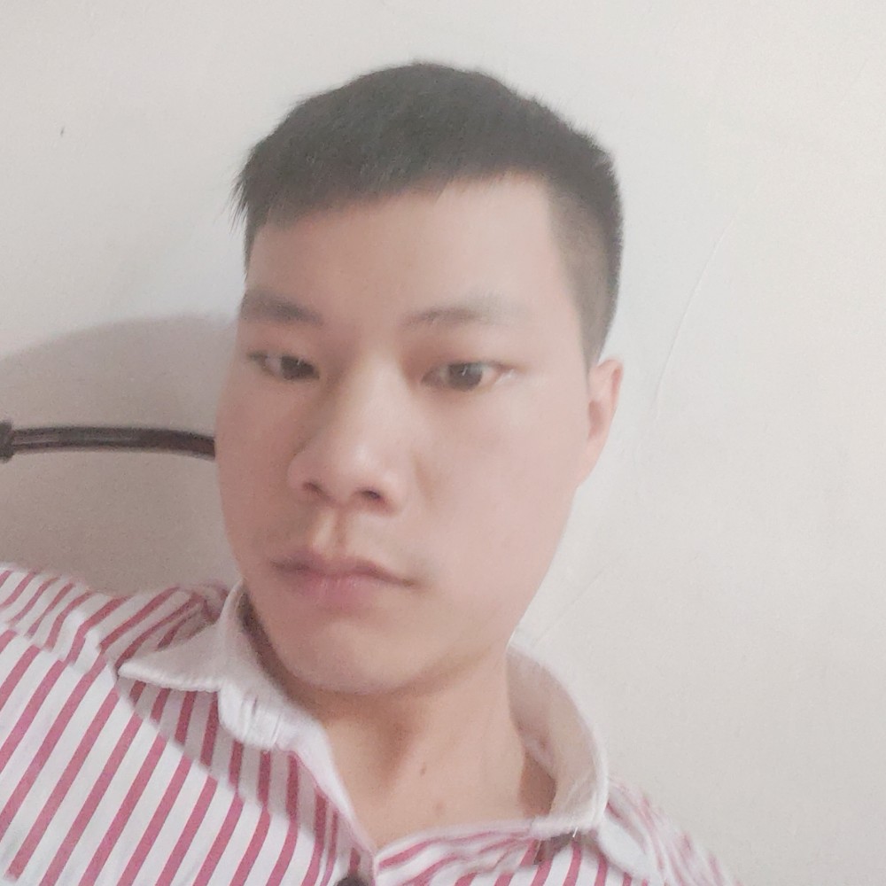 小鸽子挽手奋斗的照片