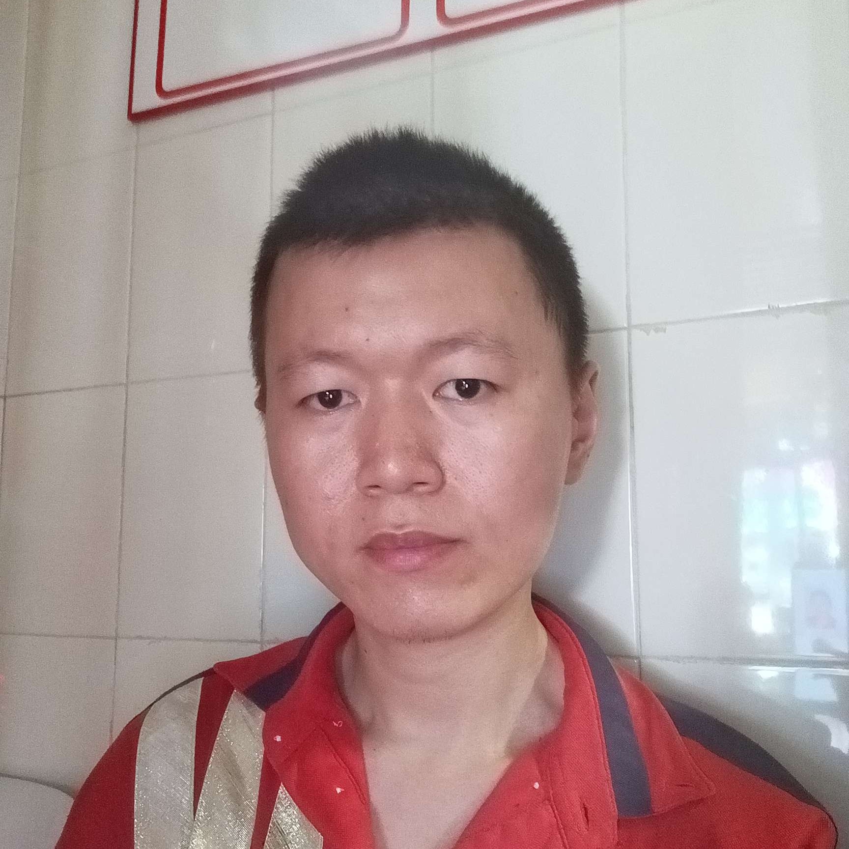 金毛有单身的照片