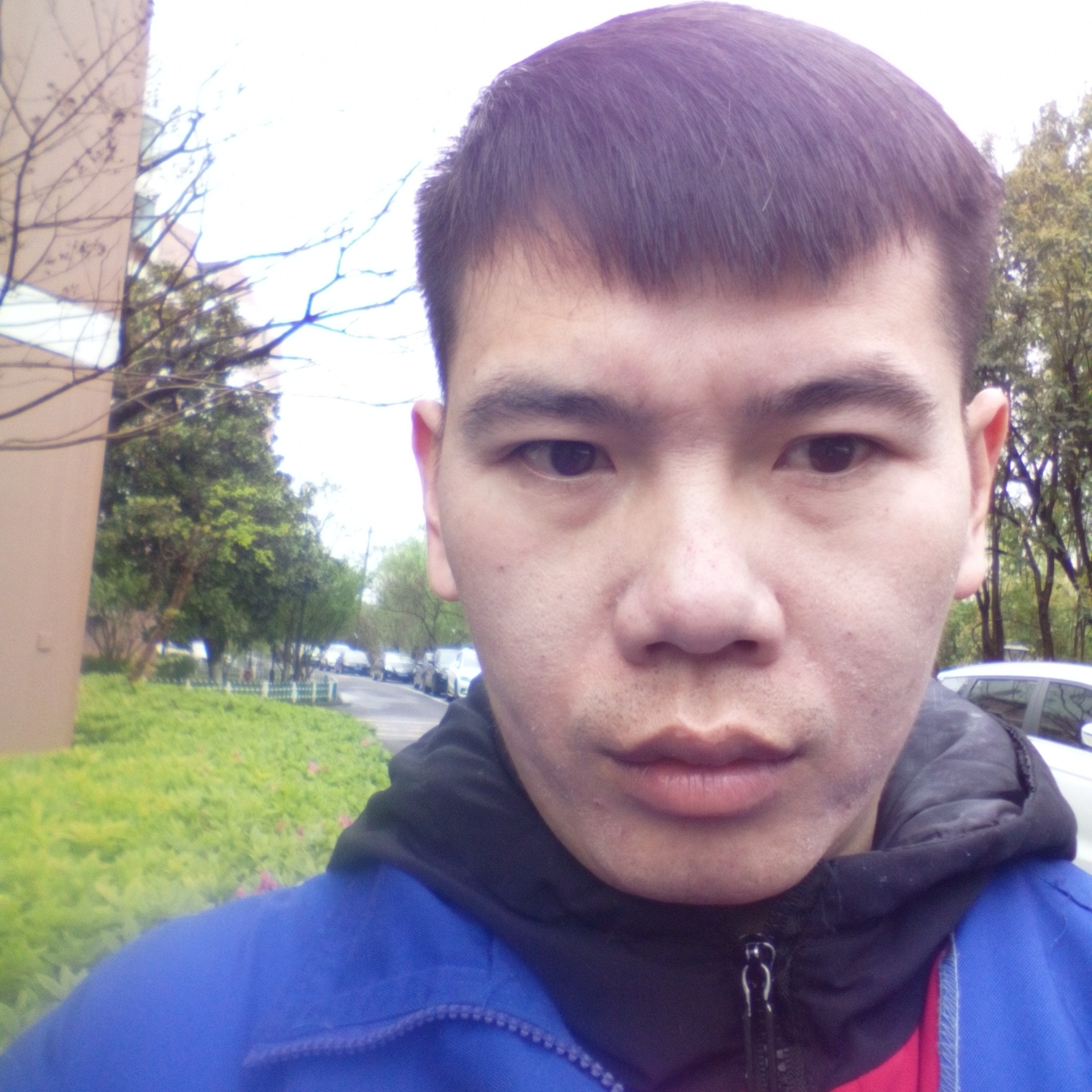 画笔就怕孤独的照片