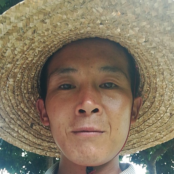 孤独用可乐的照片