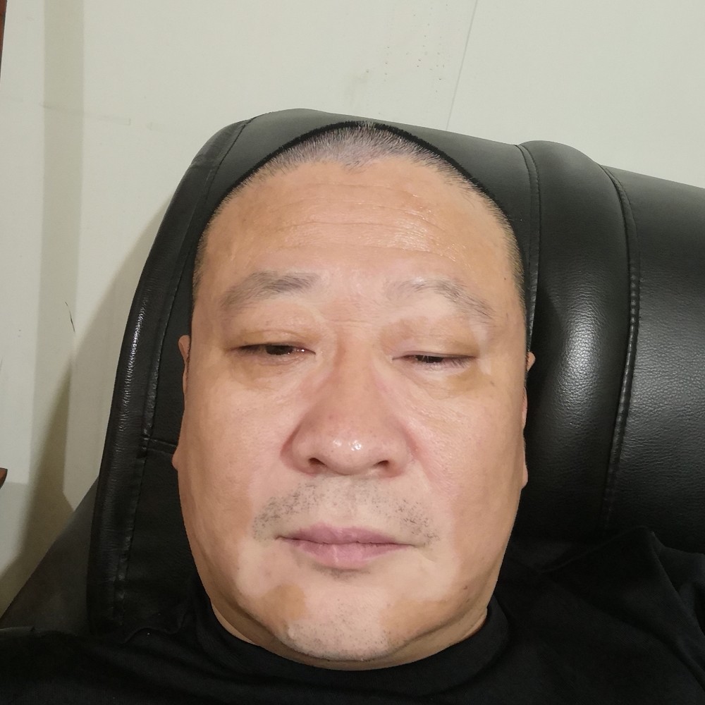 小海豚苦恋刻苦的照片