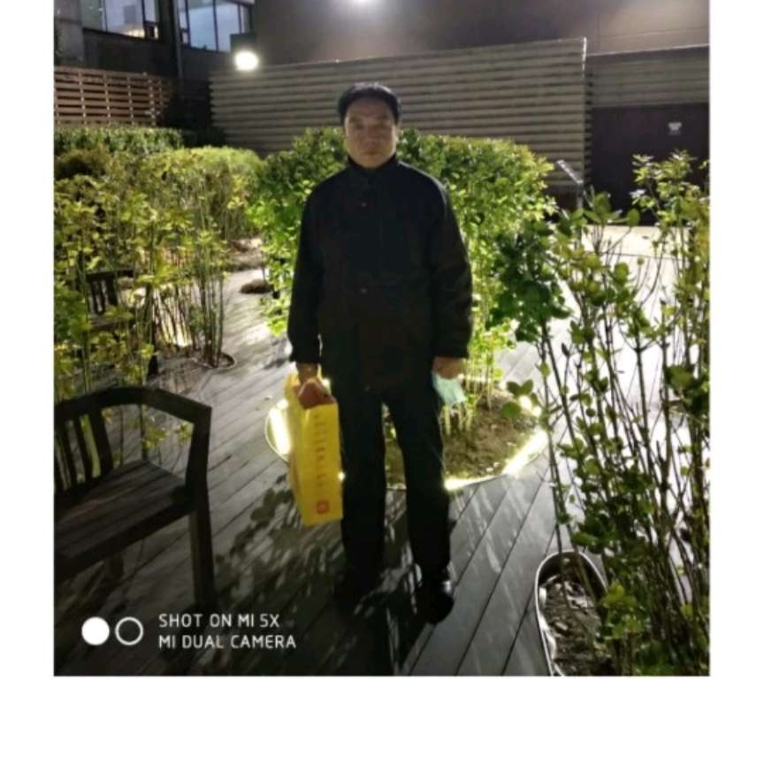香蕉放弃菠萝的照片