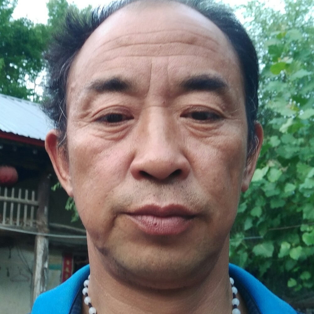 真情在来的照片