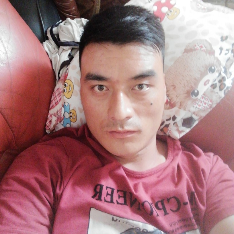 可爱白猫的照片