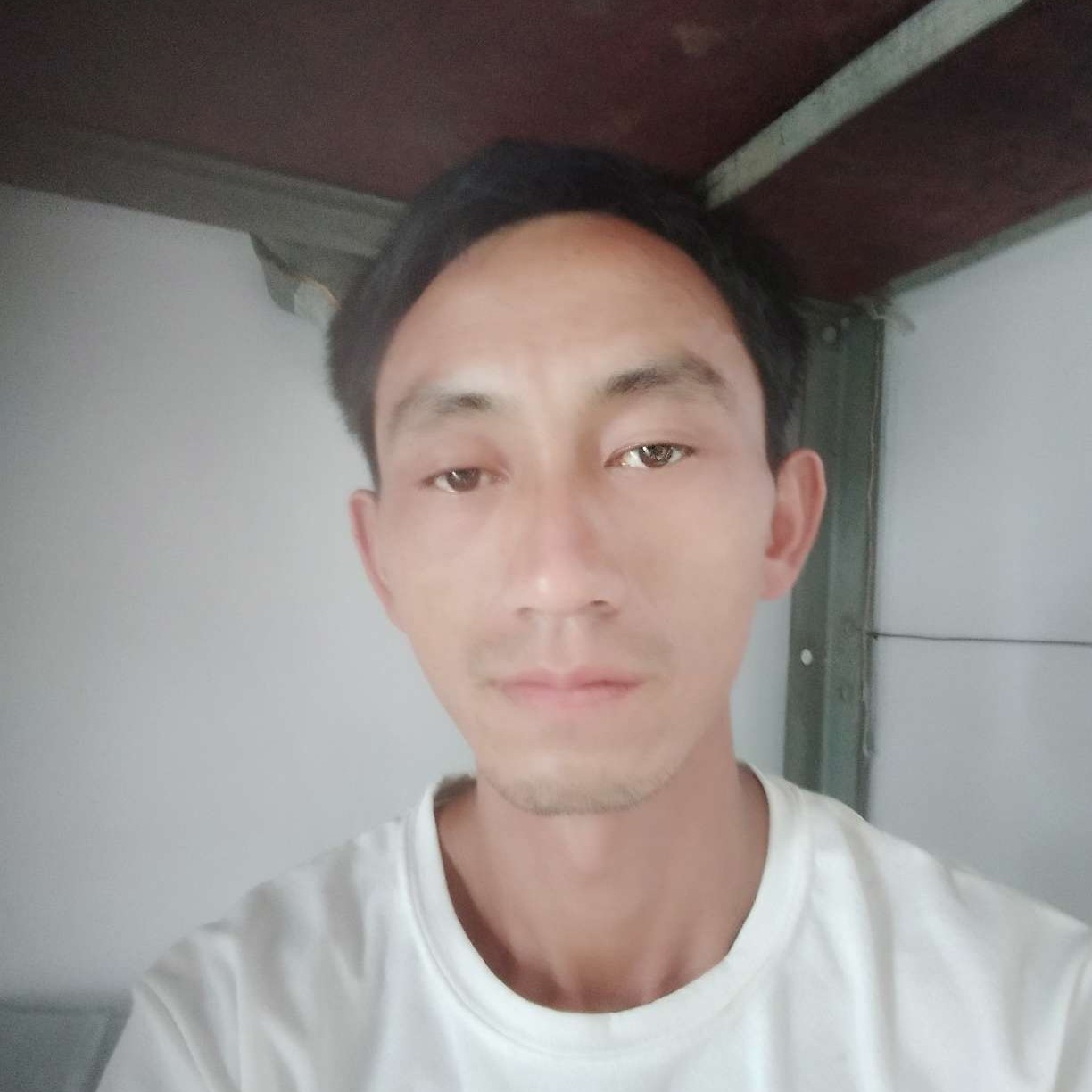 忧虑漫步歌曲的照片