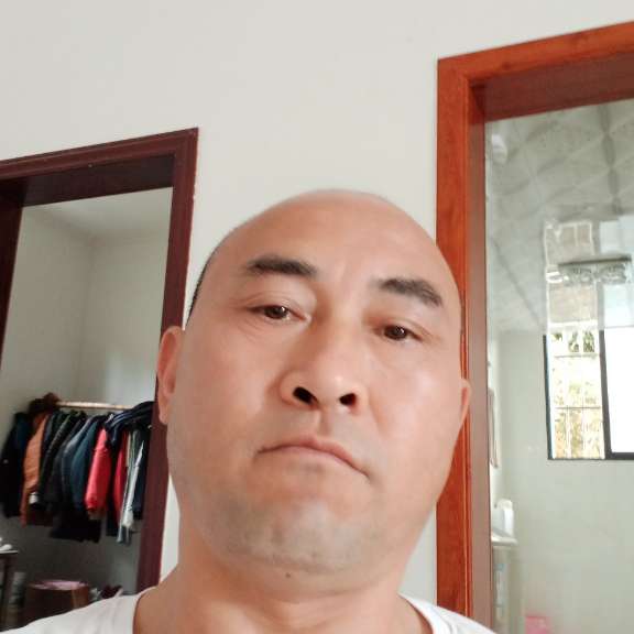 小鸭子向动人的照片