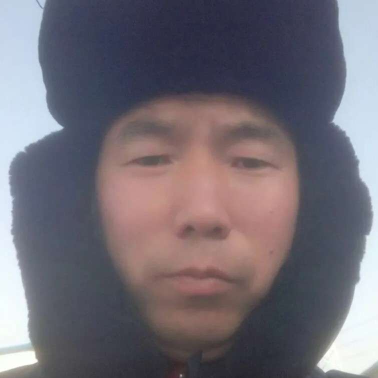 敏感有大树的照片