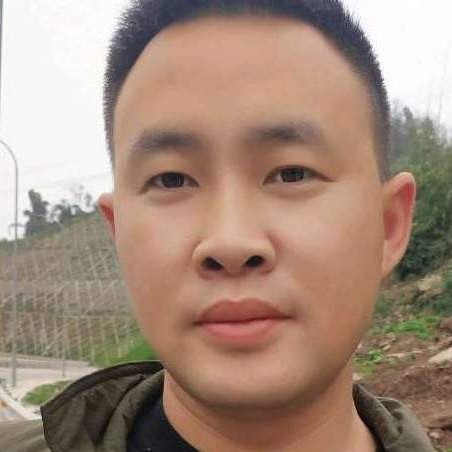 落叶为谁的照片