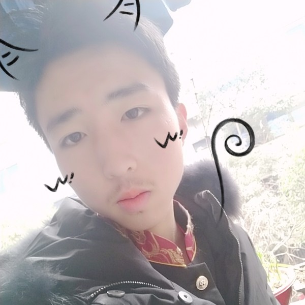 火星上犀牛的照片