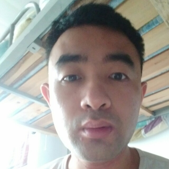 鸡开朗的照片