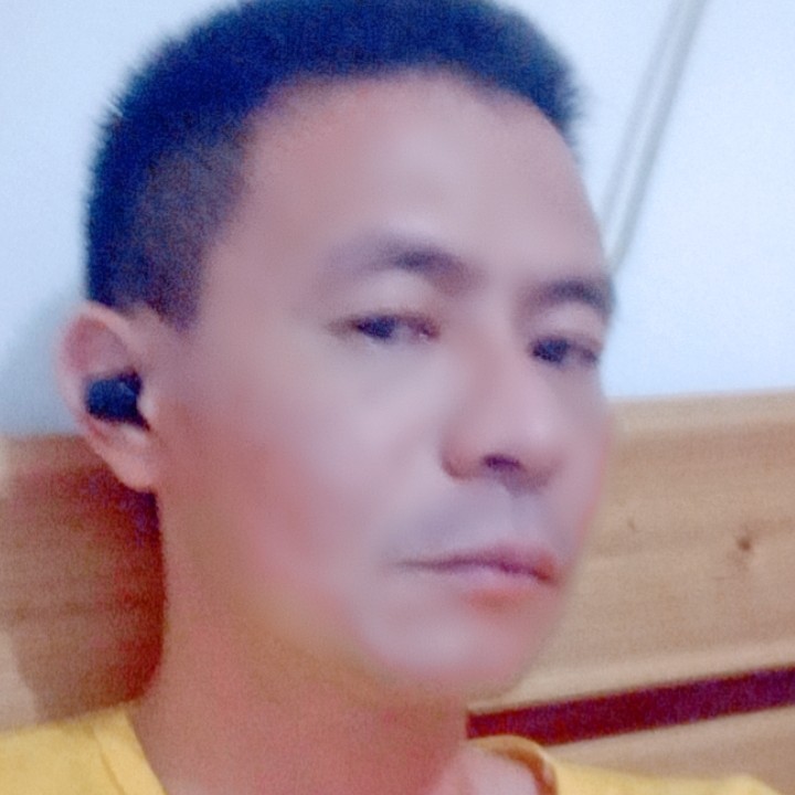 红蔘的照片