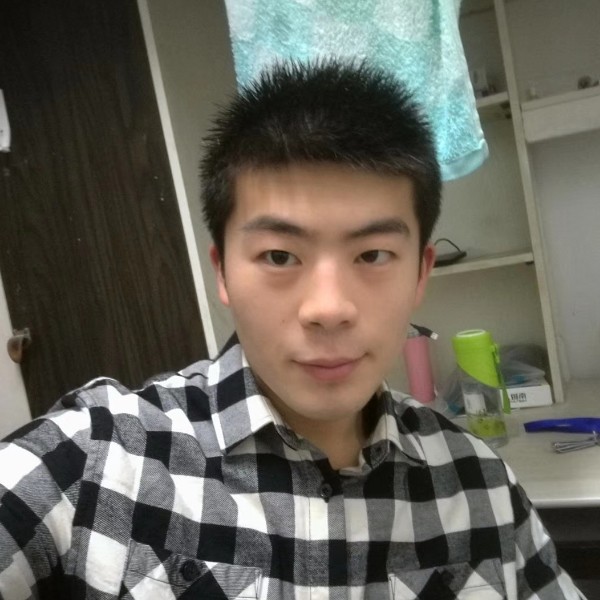 秋日的黄叶的照片