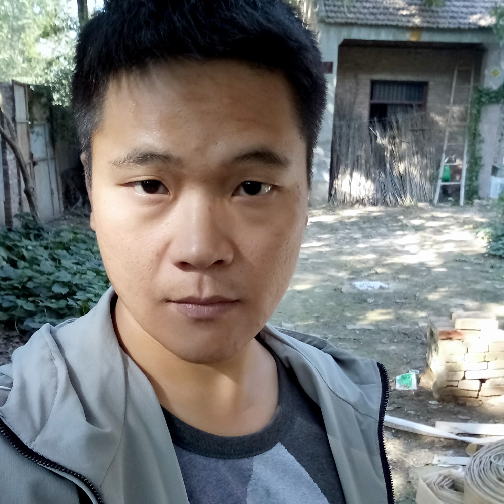 猫咪請玩命的照片