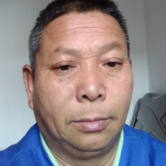 斑马说默默的照片